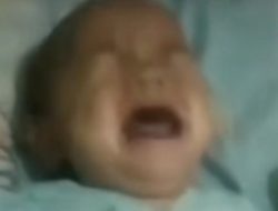 Viral Video Bayi Dibekap Bapaknya