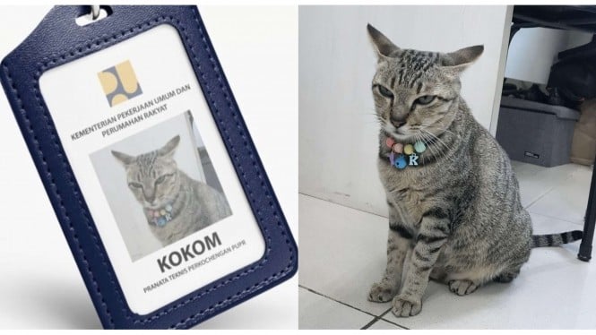 Kucing Kokom diangkat jadi pegawai Kementerian PUPR