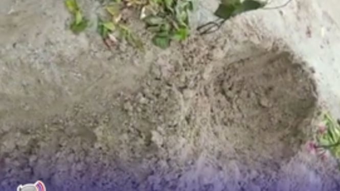 Viral Pria Ini Temukan Benda Misterius di Kuburan Anaknya