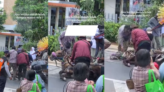 Kuda Penarik Andong Jakarta Alami Kelelahan