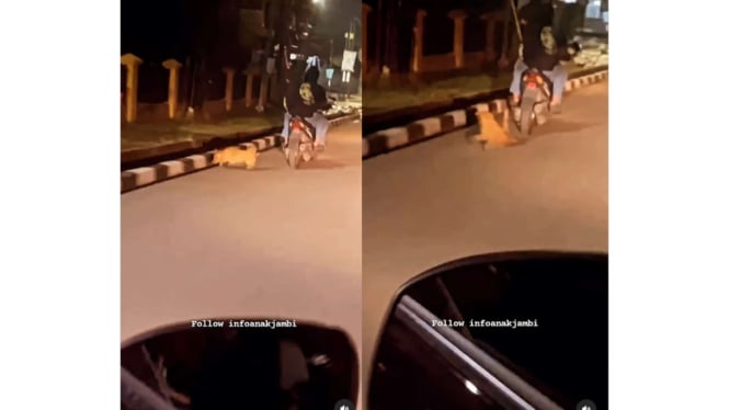 Viral Seekor Anjing Diseret Pake Motor oleh Dua Orang Pemuda